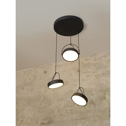 Osram - LED Lustr na lanku DECOR PUCK 3xLED/12W/230V CRI 90 černá