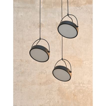 Osram - LED Lustr na lanku DECOR PUCK 3xLED/12W/230V CRI 90 černá