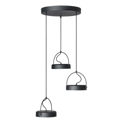 Osram - LED Lustr na lanku DECOR PUCK 3xLED/12W/230V CRI 90 černá