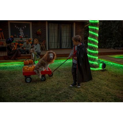 Osram - LED RGB Stmívatelný venkovní pásek FLEX 15m LED/100W/230V IP65 + dálkové ovládání