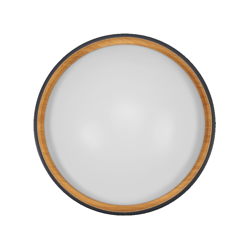 Osram - LED Stmívatelné stropní svítidlo ORBIS LIVIA LED/16W/230V pr. 30 cm antracit/hnědá