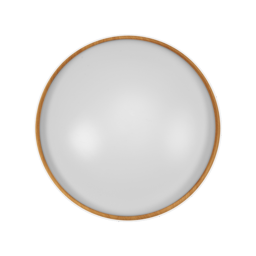 Osram - LED Stmívatelné stropní svítidlo ORBIS LIVIA LED/36W/230V pr. 52 cm bílá/hnědá