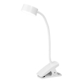 Osram - LED Stmívatelná stolní lampa s klipem OFFICE LINE LED/4,8W/230V 3000/4000/6500K bílá
