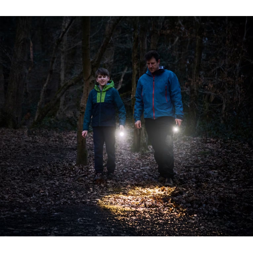 Osram - LED Stmívatelná svítilna LEDINSPECT TORCH 350 ESSENTIAL LED/4W/2xAAA IP44