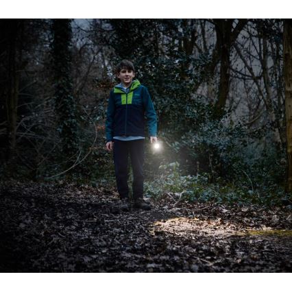 Osram - LED Stmívatelná svítilna LEDINSPECT TORCH 350 ESSENTIAL LED/4W/2xAAA IP44