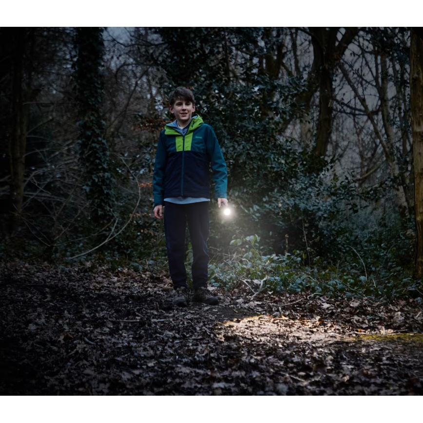 Osram - LED Stmívatelná svítilna LEDINSPECT TORCH 350 ESSENTIAL LED/4W/2xAAA IP44