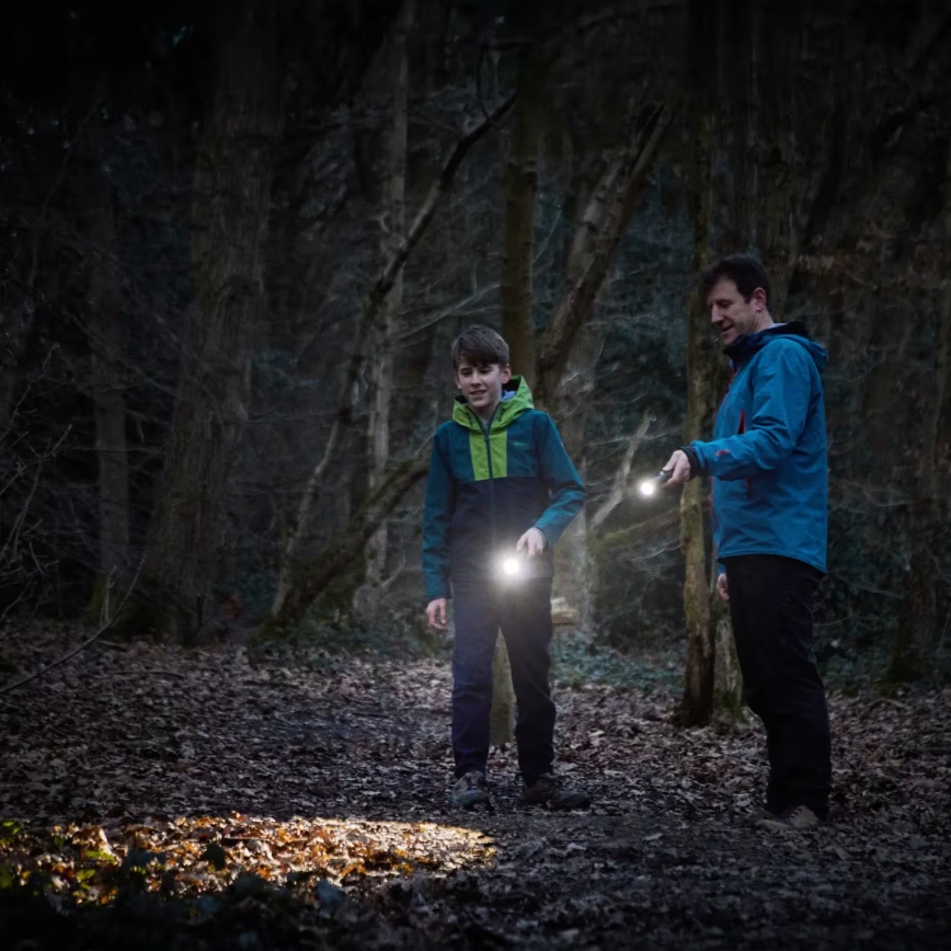 Osram - LED Stmívatelná svítilna LEDINSPECT TORCH 450 ESSENTIAL LED/6W/3xAAA IP44