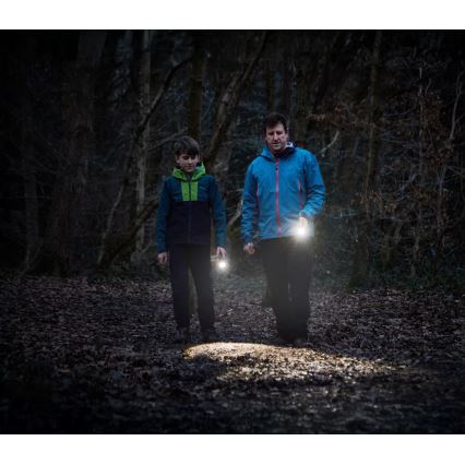 Osram - LED Stmívatelná svítilna LEDINSPECT TORCH 450 ESSENTIAL LED/6W/3xAAA IP44