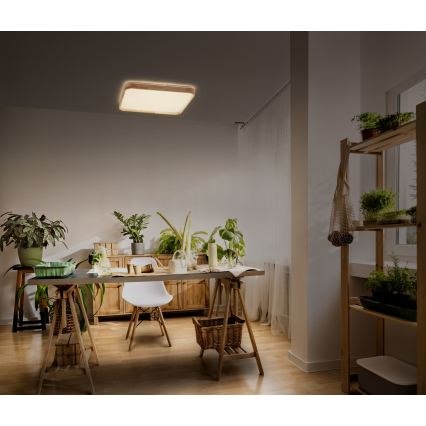 Osram - LED Stmívatelné stropní svítidlo ORBIS ALICIA LED/36W/230V 49,5x49,5 cm