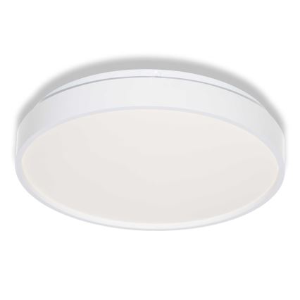 Osram - LED Stropní svítidlo CEILING LUXO LED/18W/230V pr. 32 cm bílá