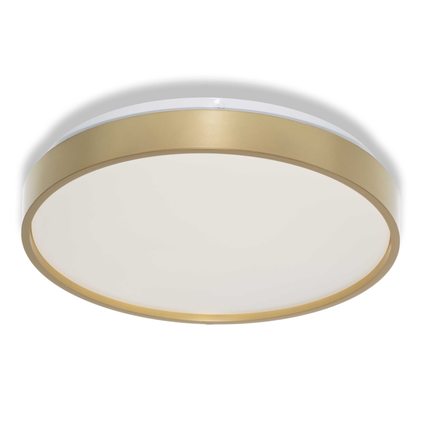 Osram - LED Stropní svítidlo CEILING LUXO LED/18W/230V pr. 32 cm zlatá