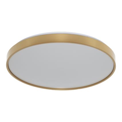 Osram - LED Stropní svítidlo CEILING LUXO LED/36W/230V pr. 49 cm zlatá