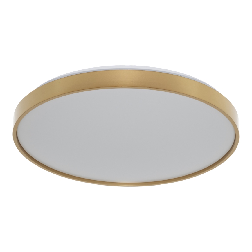Osram - LED Stropní svítidlo CEILING LUXO LED/36W/230V pr. 49 cm zlatá