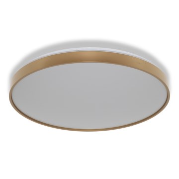 Osram - LED Stropní svítidlo CEILING LUXO LED/60W/230V pr. 56 cm zlatá