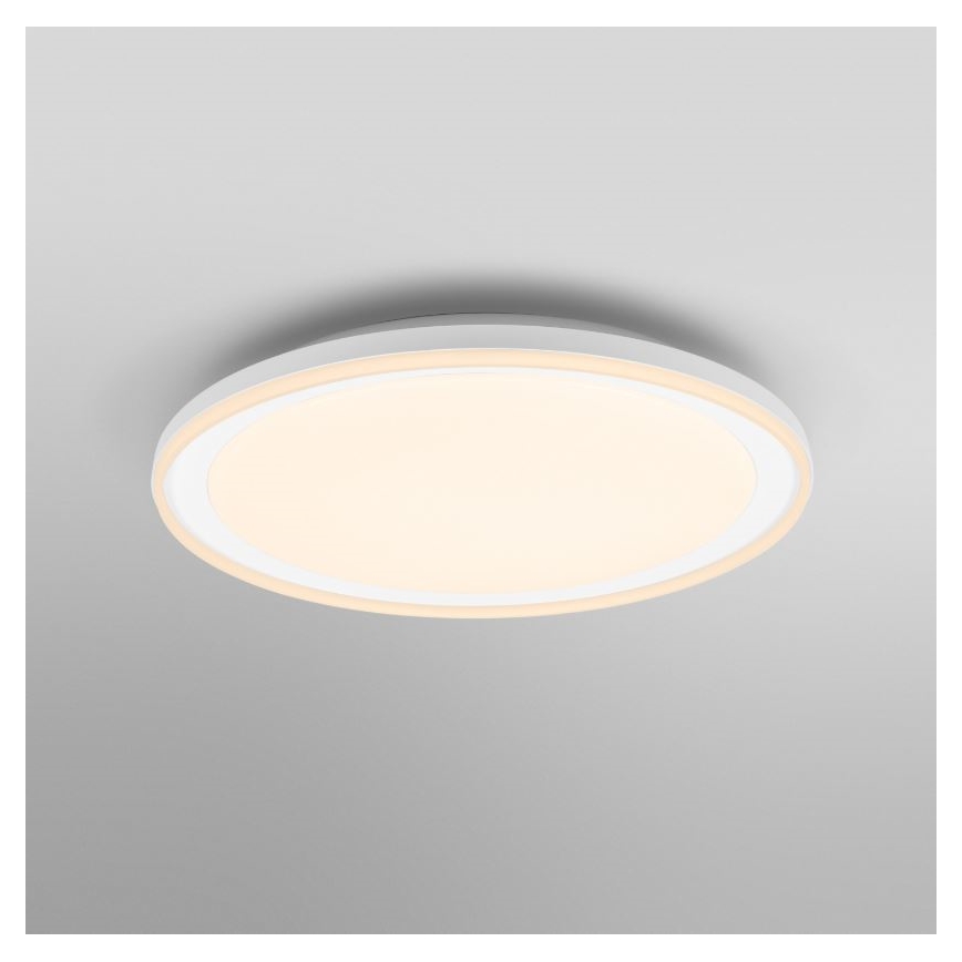 Osram - LED Stropní svítidlo ORBIS PEDERSON LED/36W/230V pr. 55 cm bílá
