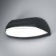 Osram - LED Venkovní nástěnné svítidlo ENDURA LED/12W/230V černá IP44