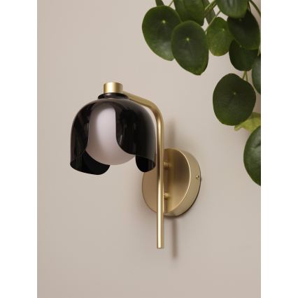 Osram - Nástěnná lampa DECOR COROLLE 1xG9/20W/230V černá/zlatá