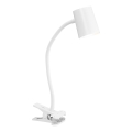 Osram - Stolní lampa s klipem DESK LINE 1xGU10/9W/230V bílá