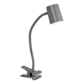 Osram - Stolní lampa s klipem DESK LINE 1xGU10/9W/230V šedá