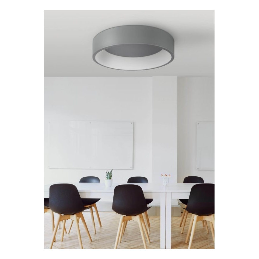 LED Stropní svítidlo KAJI LED/20W/230V