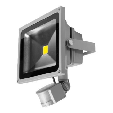 Panlux LM32300004 - LED reflektor se senzorem LED VANA S 1xLED/30W/230V Panlux LM32300004 - LED reflektor se senzorem LED VANA S 1xLED/30W/230V