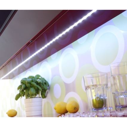 Paul Neuhaus 1199-70 - LED RGB Stmívatelný pásek TEANIA 3m LED/16,2W/12/230V + dálkové ovládání