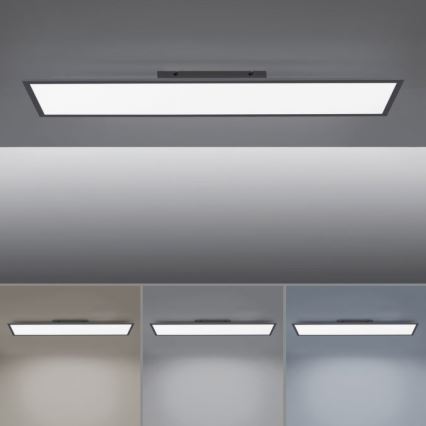 Paul Neuhaus 16533-16-O - LED Stmívatelný přisazený panel FLAT LED/24W/230V 2700-5000K černá + dálkové ovládání