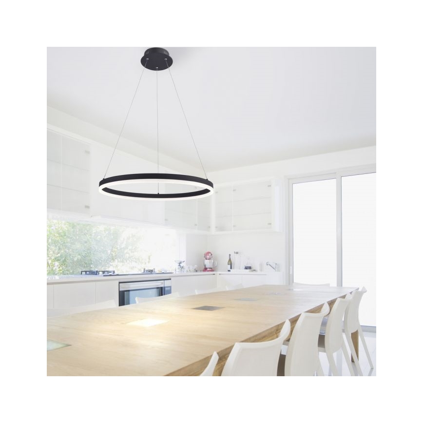 Paul Neuhaus 2382-13 - LED Stmívatelný lustr na lanku TITUS LED/38,5W/230V