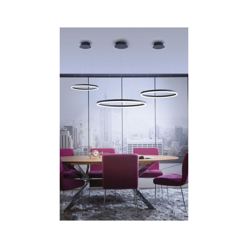 Paul Neuhaus 2382-13 - LED Stmívatelný lustr na lanku TITUS LED/38,5W/230V