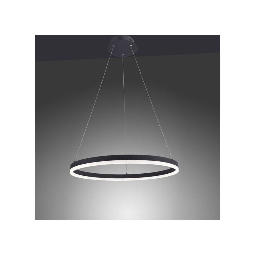 Paul Neuhaus 2382-13 - LED Stmívatelný lustr na lanku TITUS LED/38,5W/230V