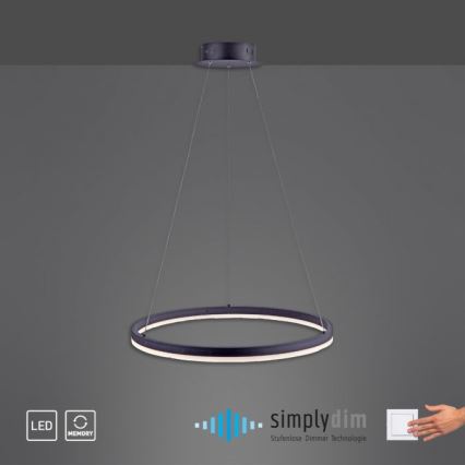 Paul Neuhaus 2382-13 - LED Stmívatelný lustr na lanku TITUS LED/38,5W/230V