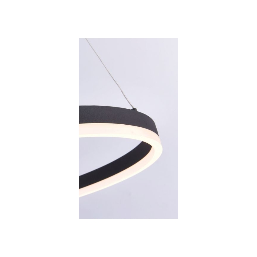 Paul Neuhaus 2382-13 - LED Stmívatelný lustr na lanku TITUS LED/38,5W/230V