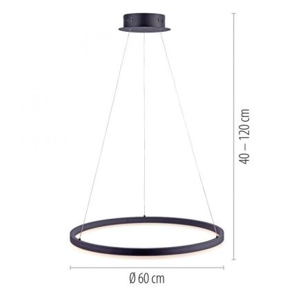 Paul Neuhaus 2382-13 - LED Stmívatelný lustr na lanku TITUS LED/38,5W/230V