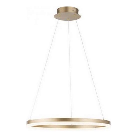 Paul Neuhaus 2382-60 - LED Stmívatelný lustr na lanku TITUS LED/38,5W/230V