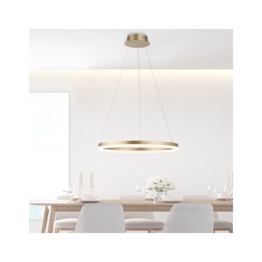 Paul Neuhaus 2382-60 - LED Stmívatelný lustr na lanku TITUS LED/38,5W/230V
