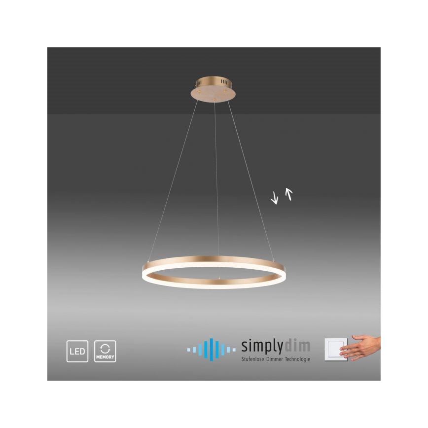 Paul Neuhaus 2382-60 - LED Stmívatelný lustr na lanku TITUS LED/38,5W/230V