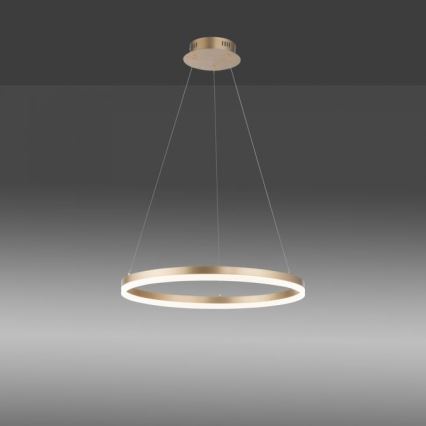 Paul Neuhaus 2382-60 - LED Stmívatelný lustr na lanku TITUS LED/38,5W/230V