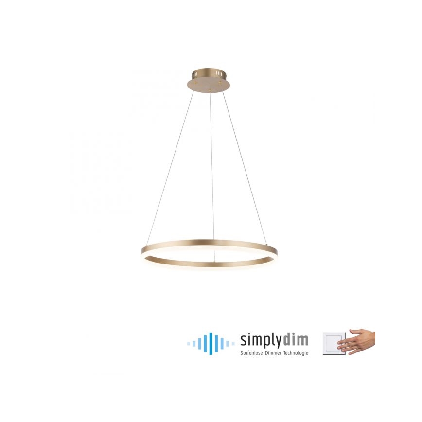 Paul Neuhaus 2382-60 - LED Stmívatelný lustr na lanku TITUS LED/38,5W/230V