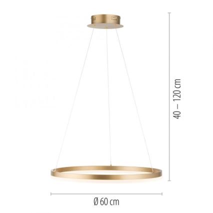 Paul Neuhaus 2382-60 - LED Stmívatelný lustr na lanku TITUS LED/38,5W/230V