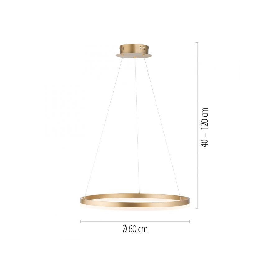 Paul Neuhaus 2382-60 - LED Stmívatelný lustr na lanku TITUS LED/38,5W/230V