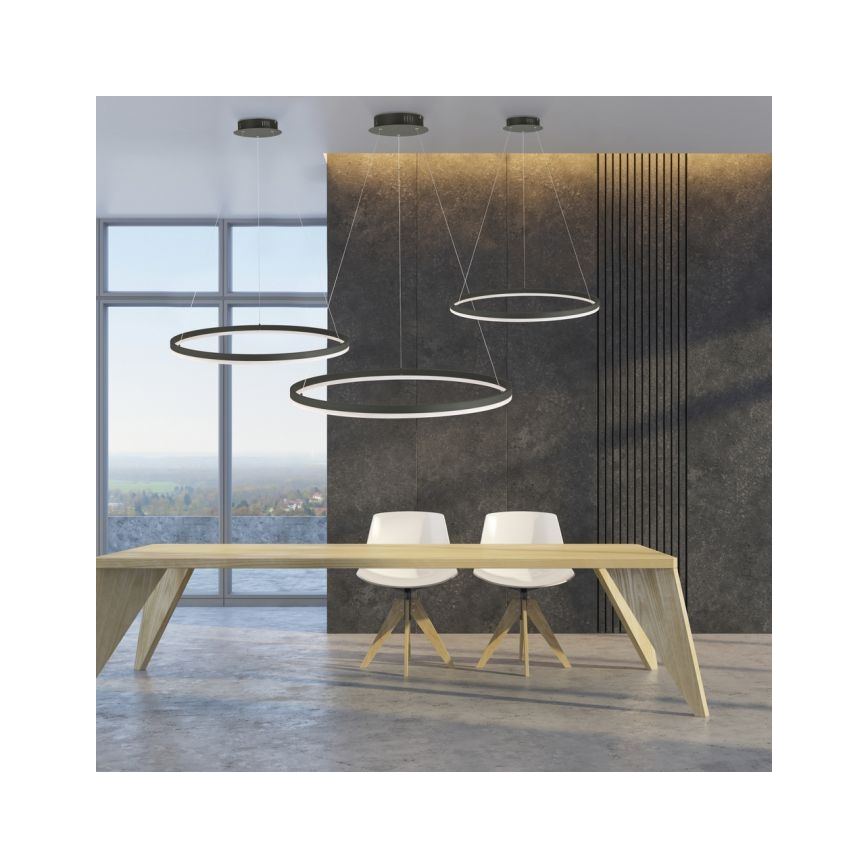 Paul Neuhaus 2383-13 - LED Stmívatelný lustr na lanku TITUS LED/50W/230V