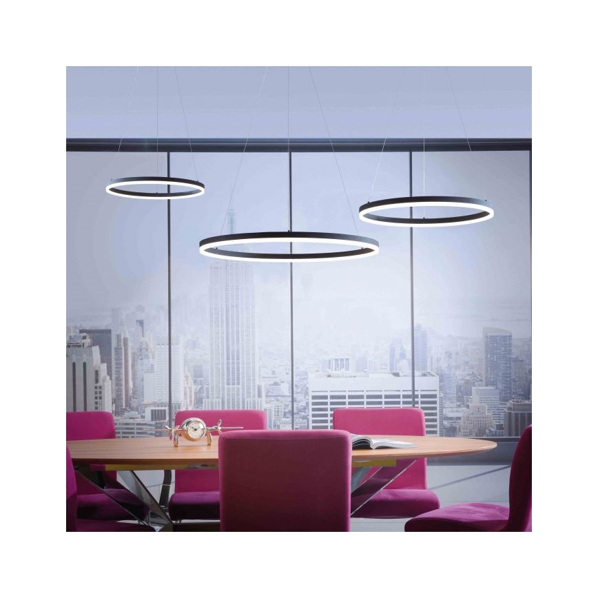 Paul Neuhaus 2383-13 - LED Stmívatelný lustr na lanku TITUS LED/50W/230V