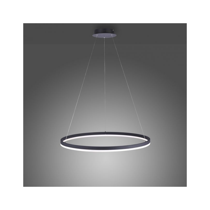 Paul Neuhaus 2383-13 - LED Stmívatelný lustr na lanku TITUS LED/50W/230V