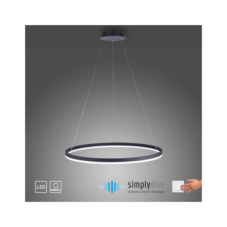 Paul Neuhaus 2383-13 - LED Stmívatelný lustr na lanku TITUS LED/50W/230V