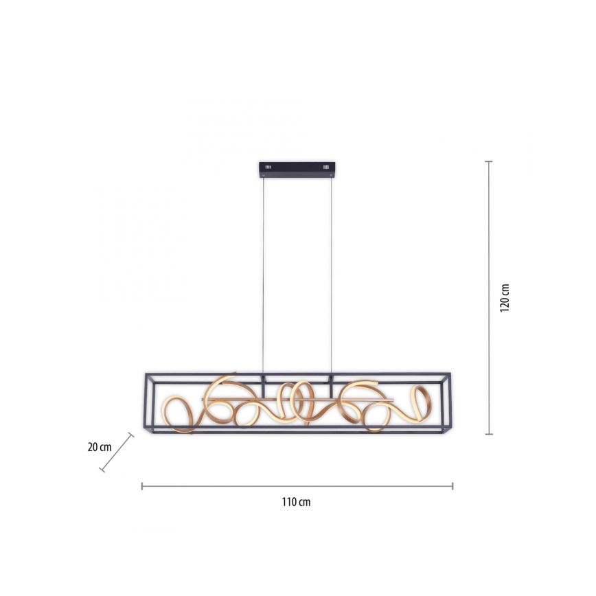 Paul Neuhaus 2416-18 - LED Stmívatelný lustr na lanku SELINA 4xLED/10,2W/230V
