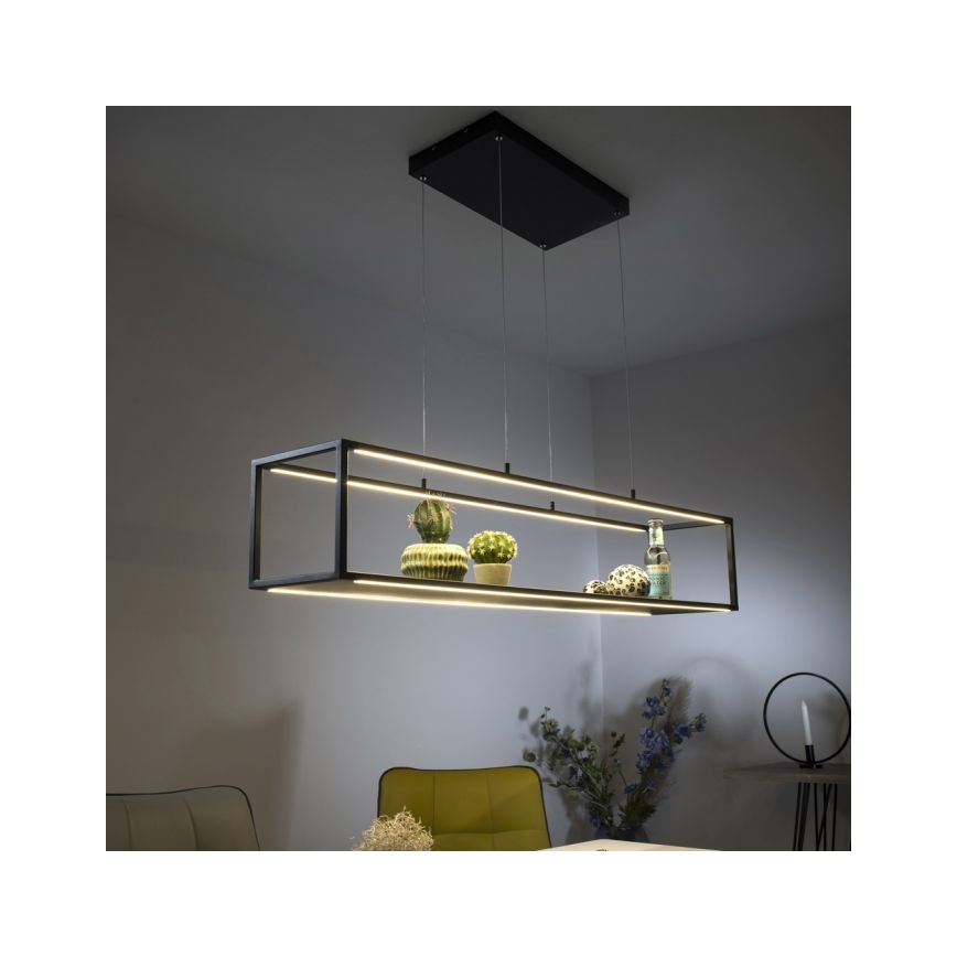 Paul Neuhaus 2441-18 - LED Stmívatelný lustr na lanku CONTURA 4xLED/8W/230V