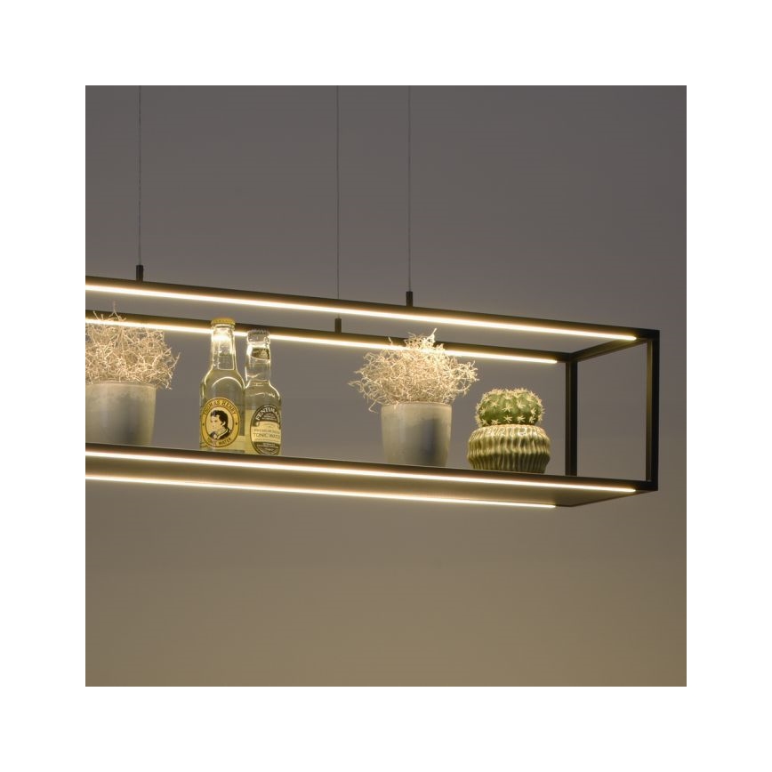 Paul Neuhaus 2441-18 - LED Stmívatelný lustr na lanku CONTURA 4xLED/8W/230V