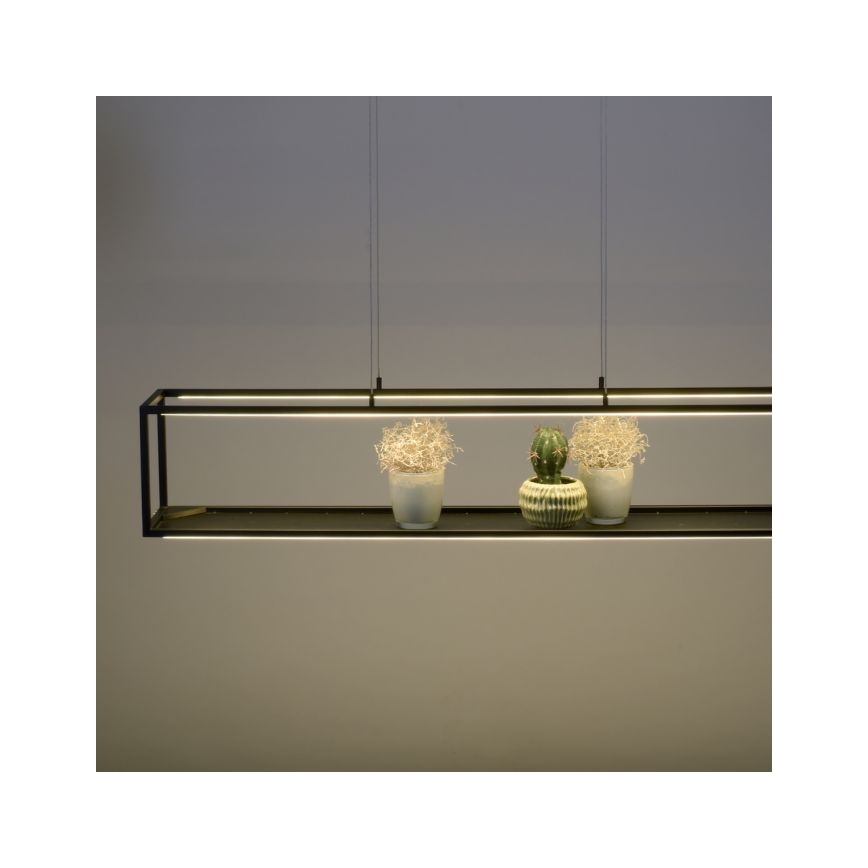 Paul Neuhaus 2441-18 - LED Stmívatelný lustr na lanku CONTURA 4xLED/8W/230V