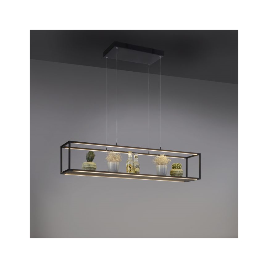 Paul Neuhaus 2441-18 - LED Stmívatelný lustr na lanku CONTURA 4xLED/8W/230V