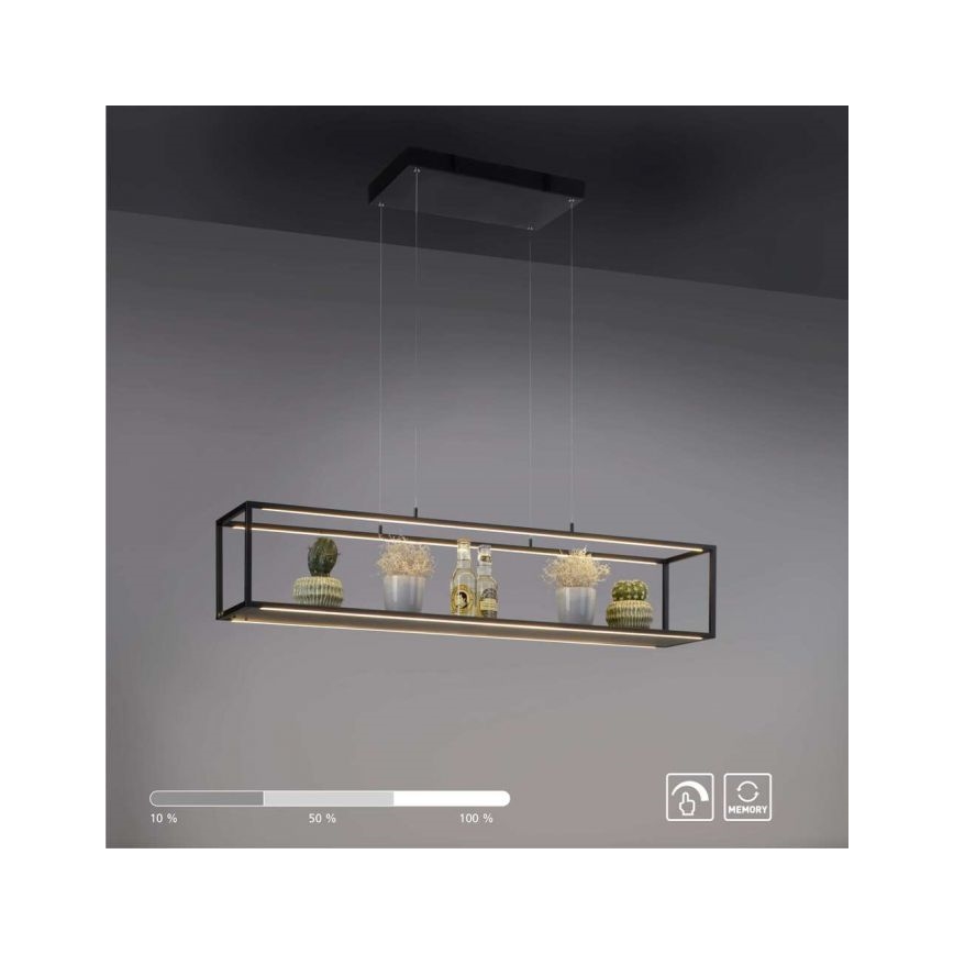 Paul Neuhaus 2441-18 - LED Stmívatelný lustr na lanku CONTURA 4xLED/8W/230V